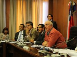 Los fiscales acudieron a los concejos comunales para informar a los vecinos y sus autoridades.