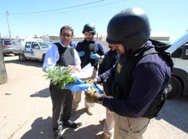 Las diligencias investigativas fueron dirigidas en el lugar por el fiscal Gabriel Meza Peña. 