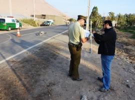 El fatal hecho ocurrió a la altura del kilómetro 19 del valle de Azapa.