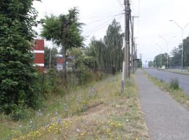 El ataque sexual ocurrió en plena avenida Francisco Salazar de Temuco.