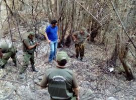 Penas por incendios de bosques van desde 61 días a presidio perpetuo