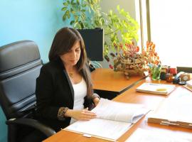 La formalización de la investigación fue efectuada hoy por la fiscal (s) Paola Riquelme