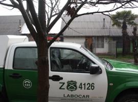 Equipos de ambas policías trabajan en su búsqueda