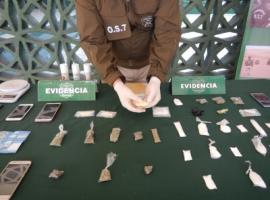 Parte de la droga decomisada al gendarme y a la mujer