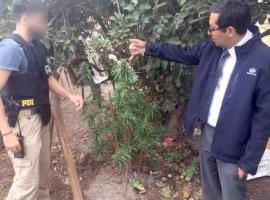 La diligencia la dirigió en el sitio del allanamiento el fiscal jefe de Copiapó, Gabriel Meza.