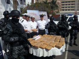 Investigación se extendió por diversas caletas de la zona