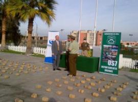 Las autoridades inspeccionan el decomiso.