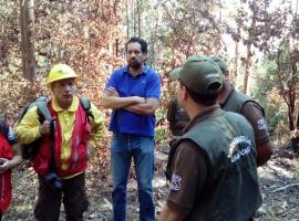El Fiscal Regional (s) del Biobío, Álvaro Hermosilla, lideró hoy el primer levantamiento de evidencias del incendio de Florida