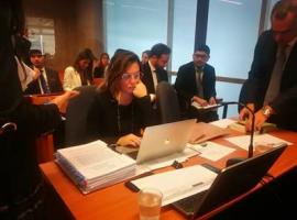 La Fiscal Constanza Encina, de la Fiscalía de Alta Complejidad.