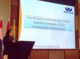 Camila Cruz expuso en el evento organizado por la Red Latinoamericana de Ministerio Público Ambiental en Panamá.