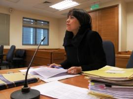 La fiscal María Soledad Salas formalizó la investigación.