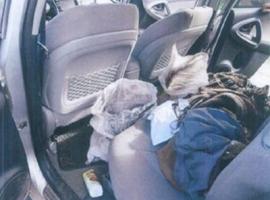 Los condenados transportaban 22 kilos de marihuana en el asiento trasero de un vehículo.