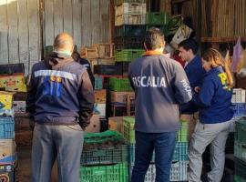 La Fiscalía de Foco y los servicios públicos realizaron esta actividad