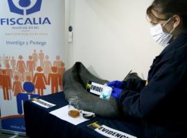 La investigación es encabezada por el fiscal jefe de Chillán, Pablo Fritz.