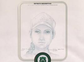 Este es el retrato hablado de la mujer que elaboró Carabineros con los testimonios de las víctimas e imágenes de cámaras de seguridad.