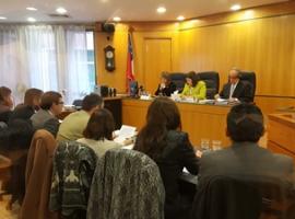 En mayo la mujer fue condenada en juicio oral llevado en su contra