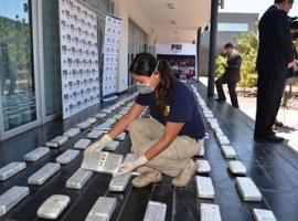 La droga estaba en varios domicilios y al interior de las estructuras de carros de verduras.