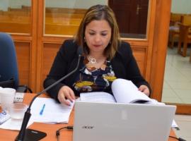 Fiscal Lorena Pavez Barra