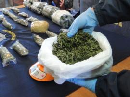 Además de la droga se incautaron armas de fuego y municiones.