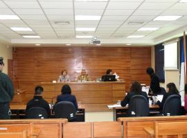 El juicio oral se efectuó en el Tribunal Oral en lo Penal de Valdivia. 
