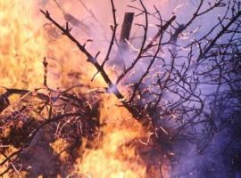 Fiscalías del Maule y Biobío en coordinación para determinar incendio de Parral