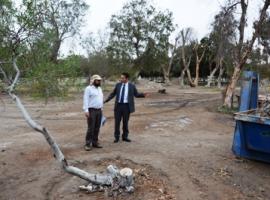El Fiscal Francisco Ganga (de terno), dirigió la pericia en el Parque Centenario.
