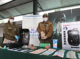 La droga fue destruída en el Servicio de Salud de Aysén. El plazo de investigación es de 120 días. 