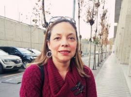 Fiscal a cargo de la investigación, Paulina Brito