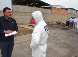La investigación es dirigida por la Fiscal jefe de la Fiscalía Local de Arica, Érika Romero.
