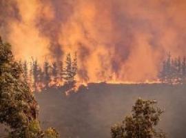 Fiscalía encabeza diligencias para establecer causa y origen de voraz incendio