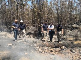 Fiscal Osvaldo Ossandón inspeccionó en lugar donde se habría iniciado el fuego