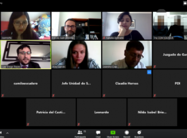 Los controles de detención se realizaron por sistema de videconferencia.