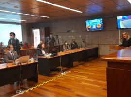 Jornada de Simulación Declaración Judicial