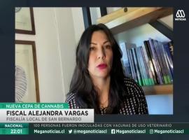 Alejandra Vargas, Fiscal Adjunta de Fiscalía Local San Bernardo.