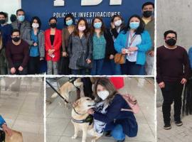 Equipo Fiscalía Occidente, junto a representantes de la Policía de Investigaciones en Aeropuerto Arturo Merino Benítez.
