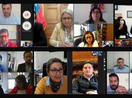 Reunión telemática.