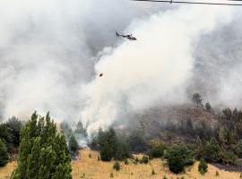 El siniestro afectó a los faldeos del cerro Mackay en Coyhaique. 