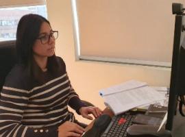 La investigación de este caso fue dirigida por la fiscal Andrea Díaz Tapia.