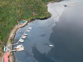 Hecho ocurrió el lunes en Puerto Chacabuco (Imagen:PDI)