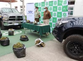 La causa es investigada por la Fiscalía de La Serena y el OS7 de Carabineros.