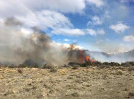 El siniestro logró ser controlado por una Brigada de Conaf que permanecía en las cercanías del lugar. (Foto: El Divisadero)