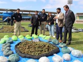 Marihuana, municiones y armas fueron incautadas por la PDI y la Fiscalía.
