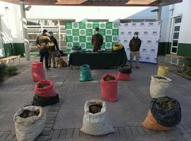 La Fiscalía de Ovalle y Carabineros del OS-7 trabajan en la presente causa.