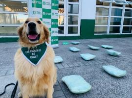 La Fiscalía de La Serena formalizó la investigación.