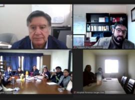 La importante actividad se realizó vía telemática.