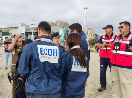 Los hechos se registraron cerca de las 17 horas en la céntrica playa.