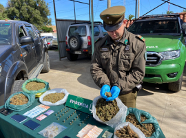 Carabineros y la Fiscalía llevan a cabo esta investigación ya formalizada en el Tribunal.