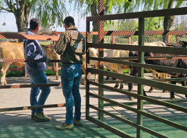 operativo de Carabineros