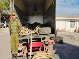 Los imputados fueron detenidos gracias a controles de Carabineros.