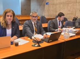 Fiscal Regional de Los Lagos Carmen Gloria Wittwer